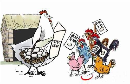 发明专利申请的流程 发明专利申请的流程