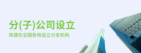 分（子）公司设立