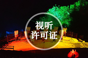 视听许可证