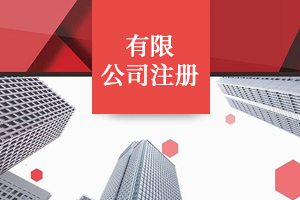 有限公司注册