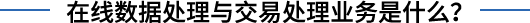在线数据处理与交易处理业务
