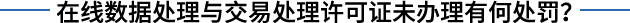 在线数据处理与交易处理业务