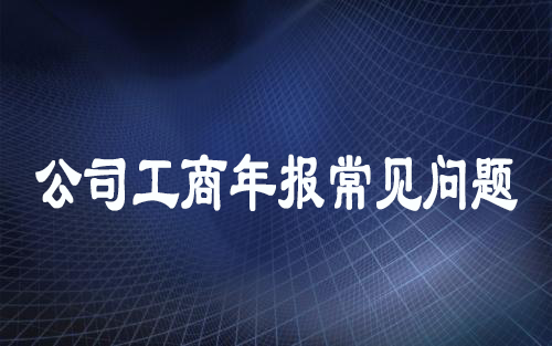 公司工商年报 公司工商年报