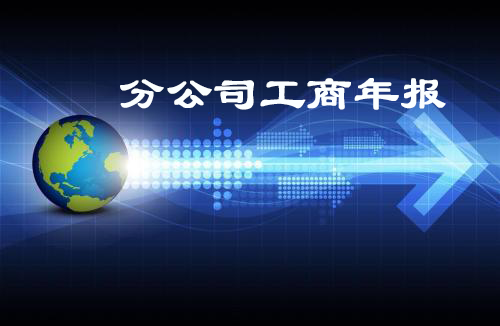 分公司工商年报