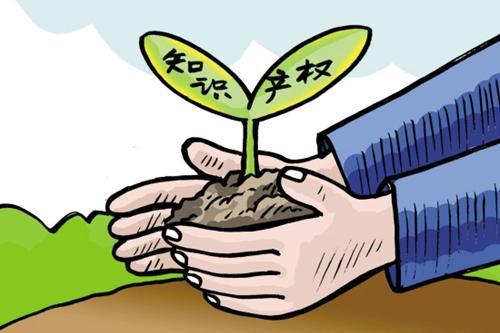 知识产权代理