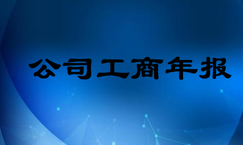 公司工商年报
