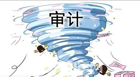 审计和税审报告区别 审计和税审报告区别