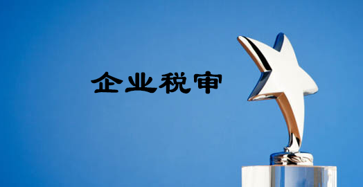 税审-大通天成 税审-大通天成