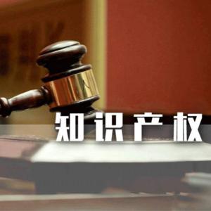 知识产权 知识产权