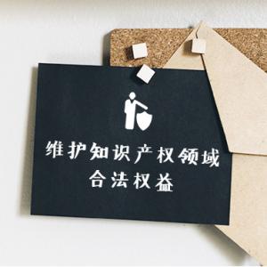 知识产权 知识产权