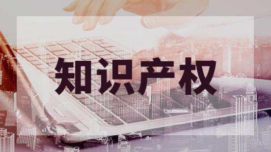 知识产权 知识产权