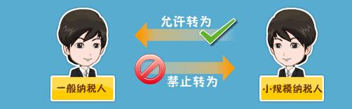 一般纳税人 一般纳税人