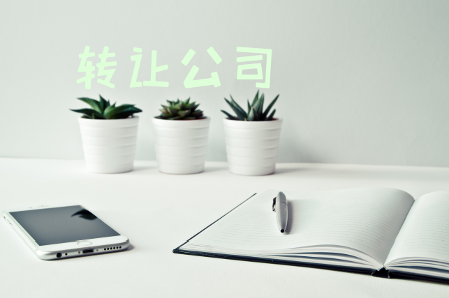 带文网文+ICP许可证北京公司转让办理