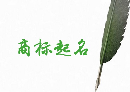 商标注册名称