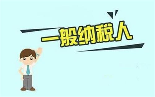 一般增值税纳税人 一般增值税纳税人