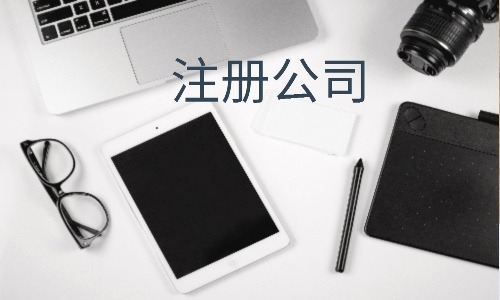 有限责任公司与股份有限公司 有限责任公司与股份有限公司