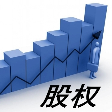 避免股权问题,了解股份有限公司 避免股权问题,了解股份有限公司