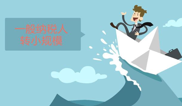 一般纳税人 一般纳税人