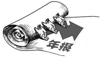 公司年报 公司年报