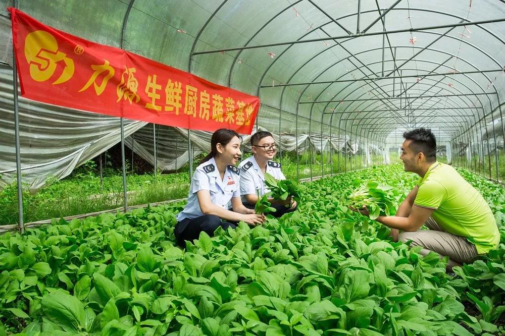 减税降费政策措施落地实施