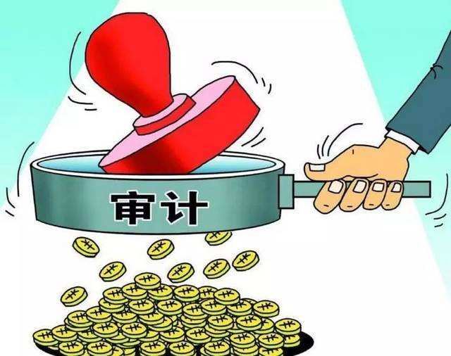 对投资审计转型发展的思考 对投资审计转型发展的思考