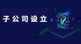 子公司设立流程,子公司设立条件 子公司设立流程,子公司设立条件