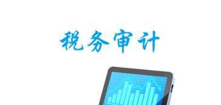 什么是税务审计?税务审计具备哪些职能? 什么是税务审计?税务审计具备哪些职能?