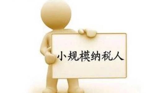 小规模纳税人报税申报流程及注意事项 小规模纳税人报税申报流程及注意事项