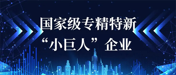 专精特新小巨人申报条件有哪些？