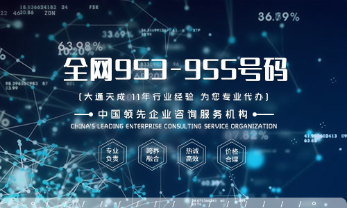 如何申请95开头的号码，企业所需条件及流程详解